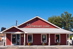 gem veterinary clinic pet friendly vet in emmett