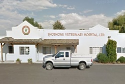 shoshone veterinary hospital vets in shoshone idaho